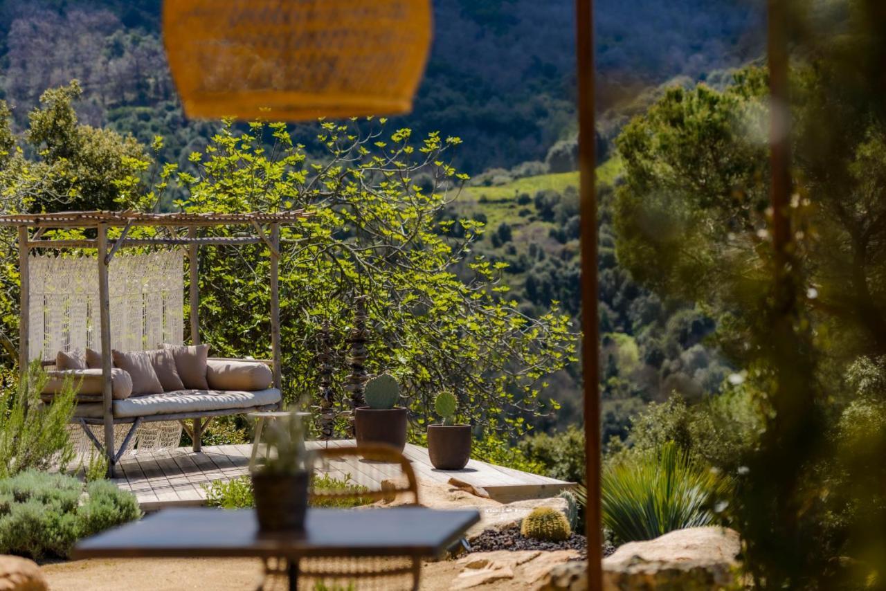 Terre De Maquis, Maison D'Hotes Vue Mer Corse Sari-D'orcino 外观 照片