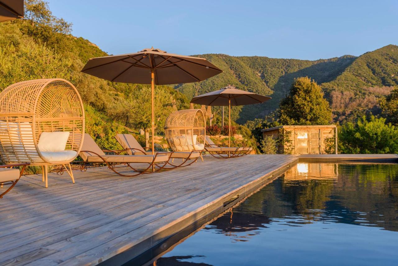 Terre De Maquis, Maison D'Hotes Vue Mer Corse Sari-D'orcino 外观 照片