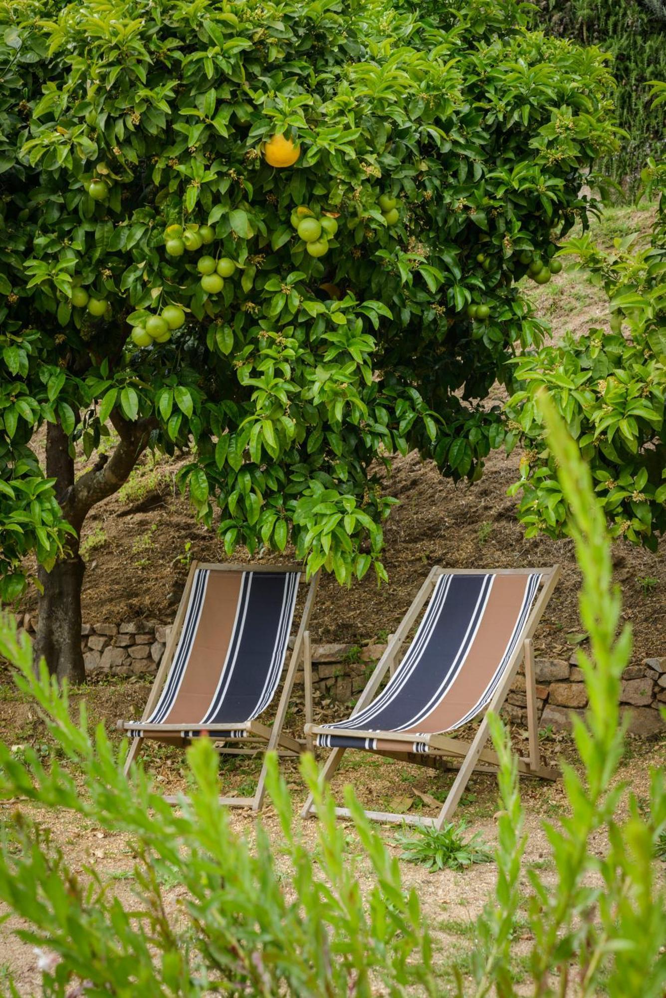 Terre De Maquis, Maison D'Hotes Vue Mer Corse Sari-D'orcino 外观 照片